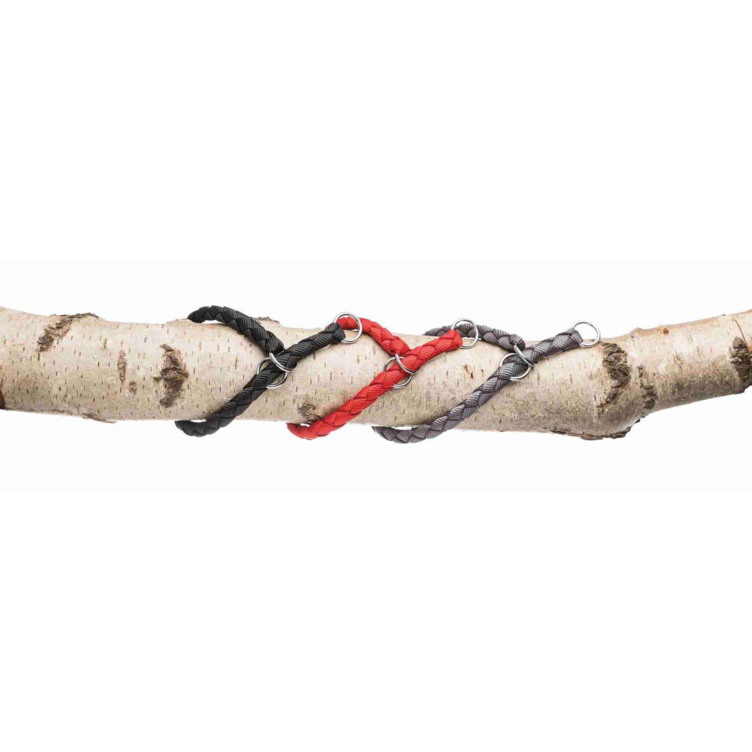 Correa New Cavo - Imagen 3