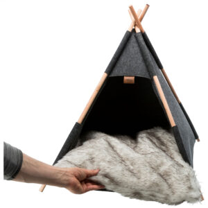 Cueva Tipi - Imagen 7