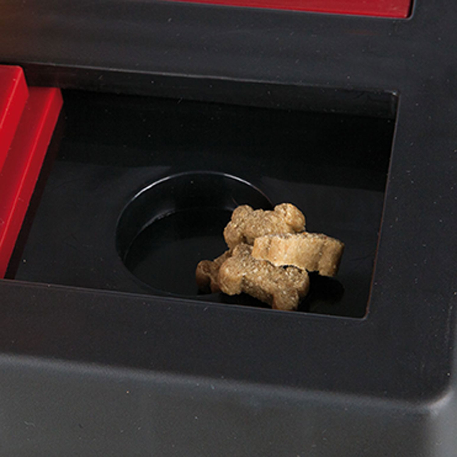 Chess Juego Interactivo - Imagen 2