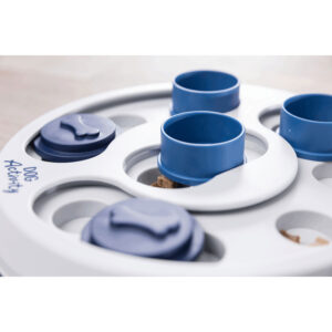 Juego Interactivo Flip & Fun - Imagen 2