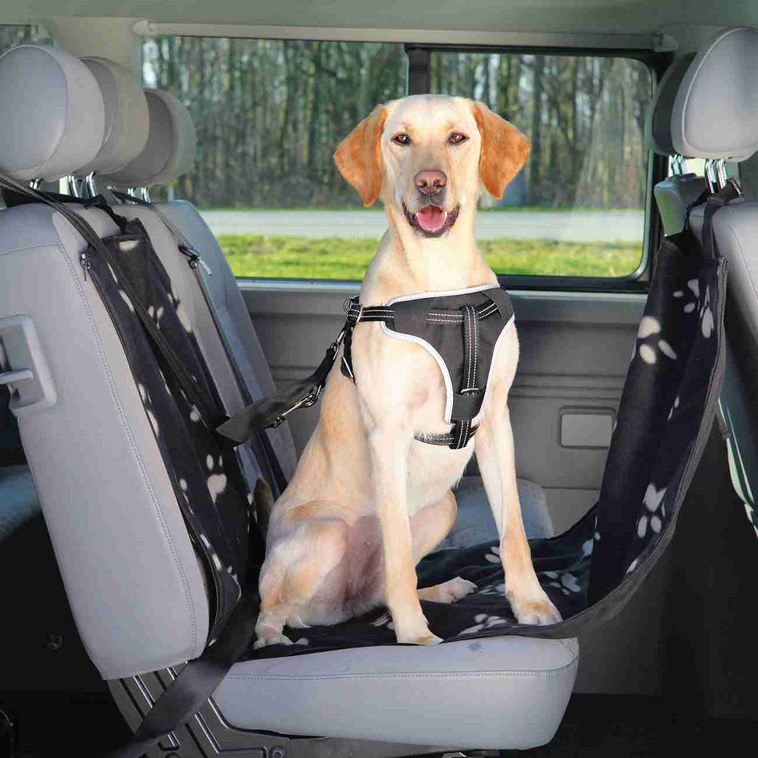 Funda Protectora Asientos Coche - Imagen 3