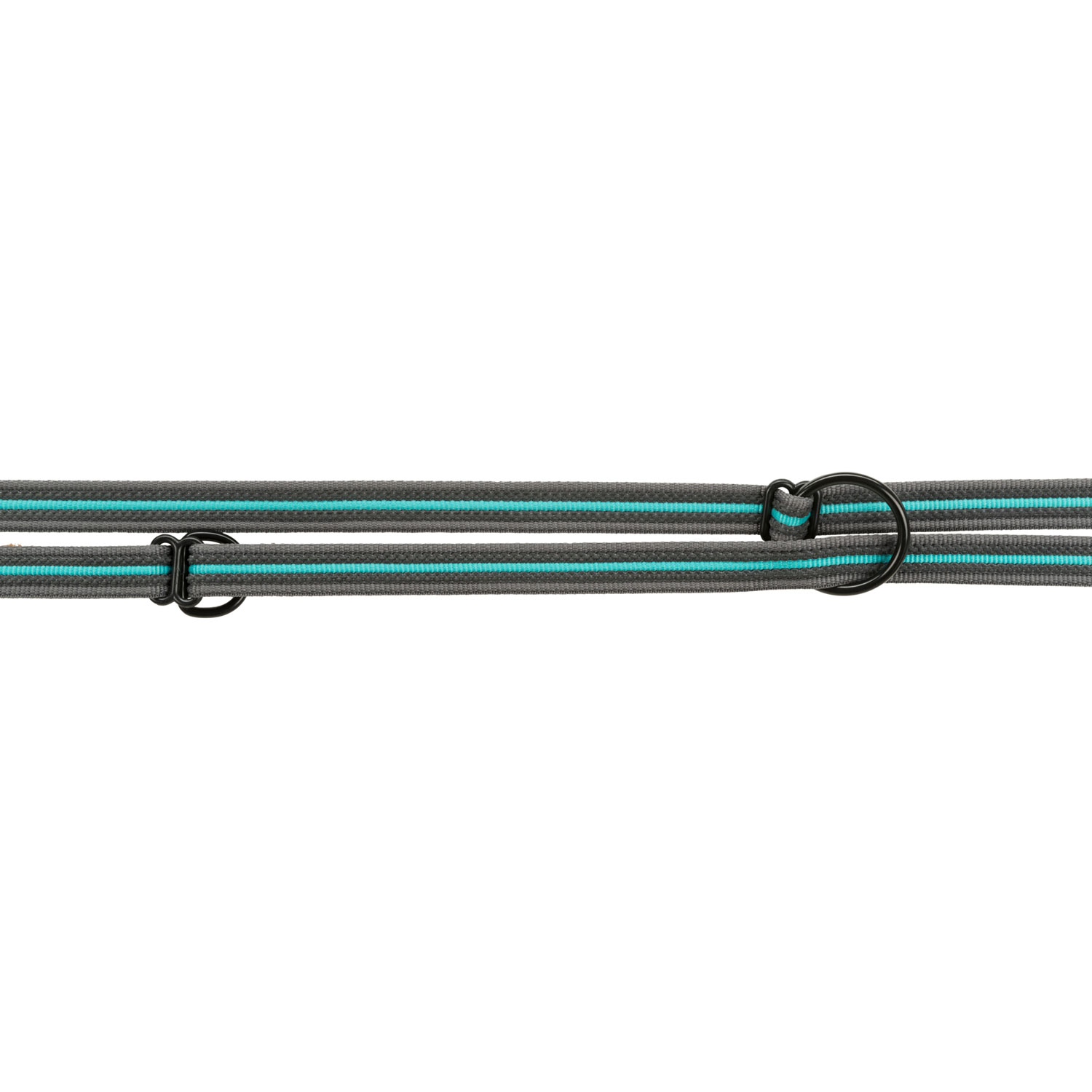 Fusion Ramal Trixie - Imagen 2