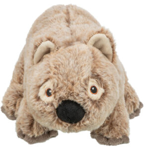 Koala - Imagen 2