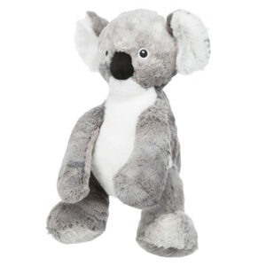 Koala - Imagen 2