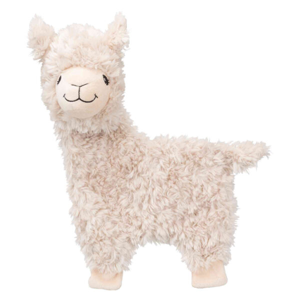 Llama