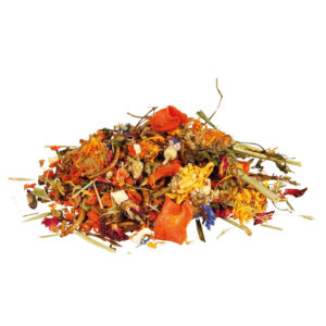 Mixtura de Alimento Natural para Dragones Barbudos - Imagen 2