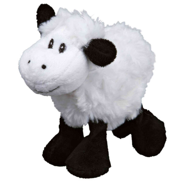 Oveja