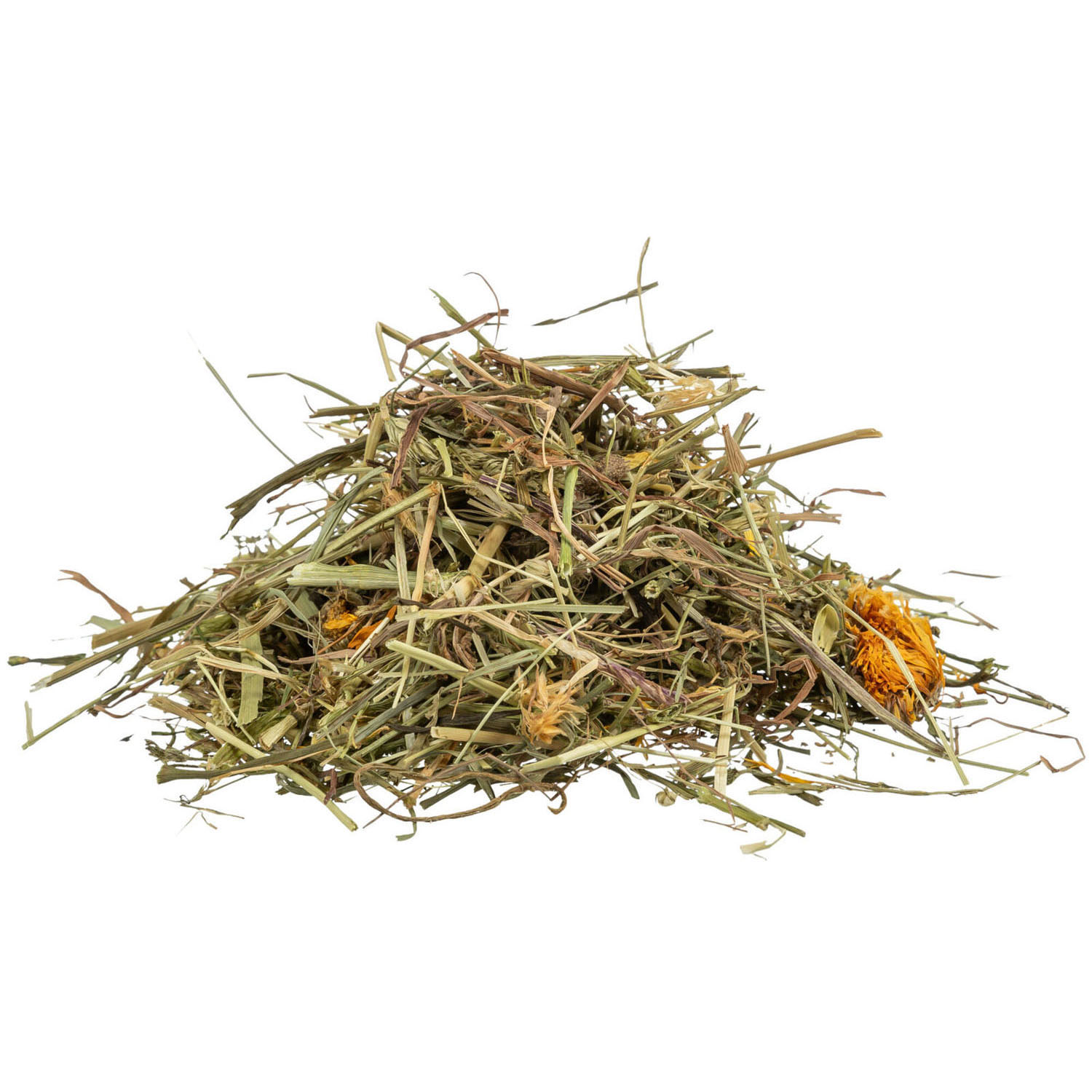 Pastos y Hierbas del Campo para Tortugas de Tierra x 6 PACKS - Imagen 2