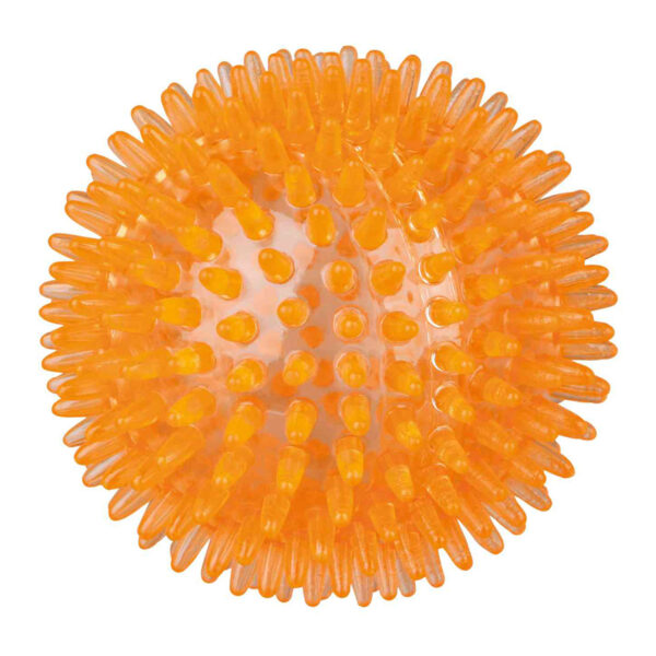 Pelota Erizo