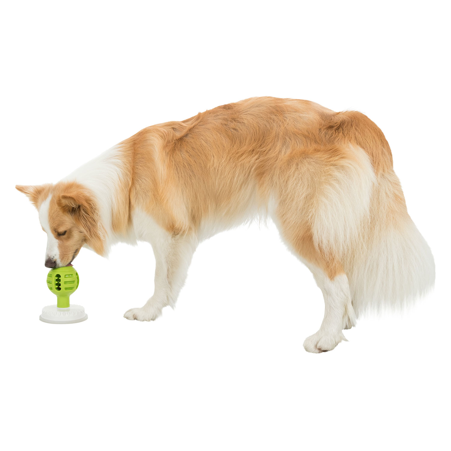 Pelota Lick'n'Snack - Imagen 9