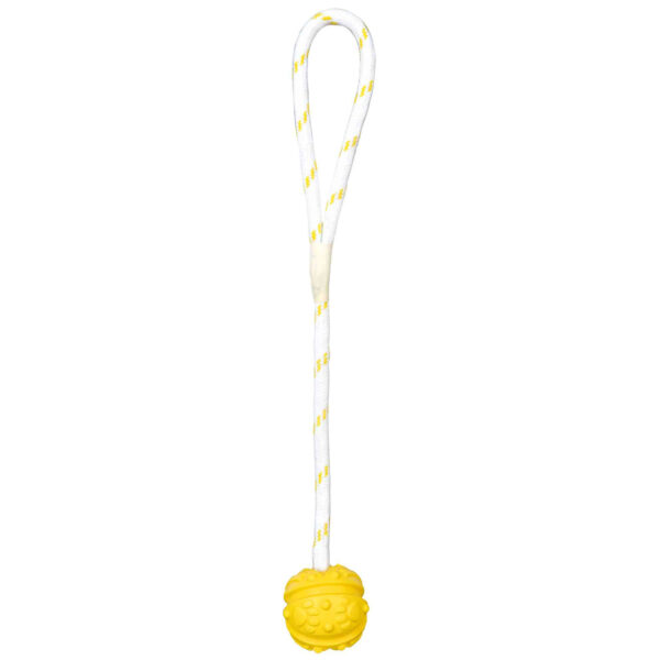 Pelota con Cuerda acuática
