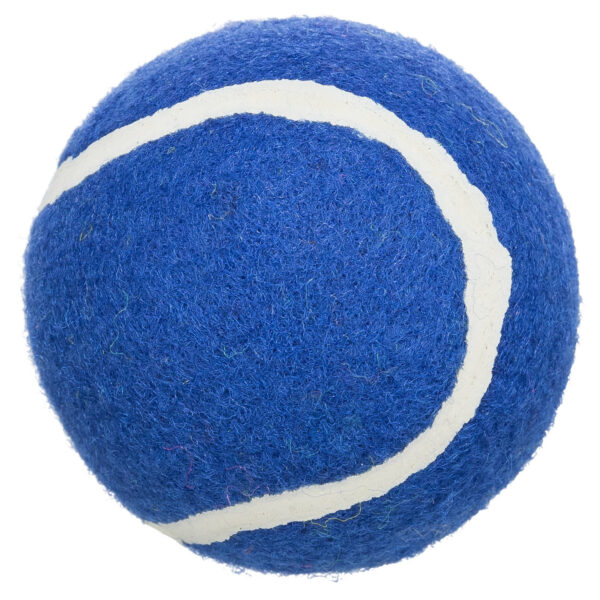 Surtido Pelotas de Tenis x 4 UNIDADES