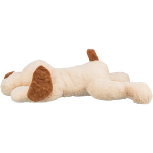Perro mimado Benny - Imagen 3