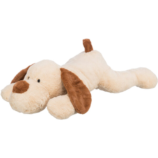 Perro mimado Benny