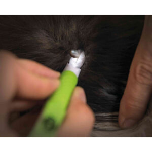 Pinzas con Luz LED x 4 UNIDADES - Imagen 4