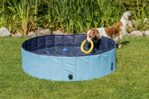 Piscina para Perros - Imagen 4