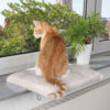 Plataforma Gatos Cosy Place Ventana 51 36 cm Blanco