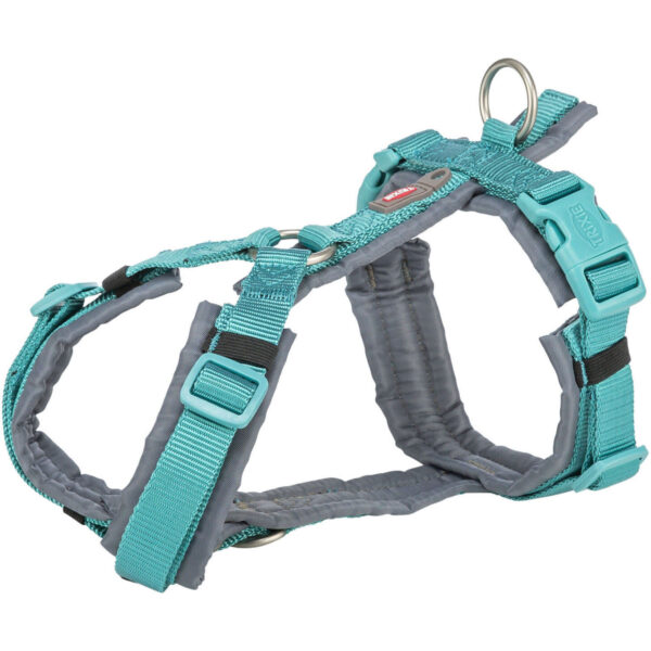 Arnés Trekking New Premium