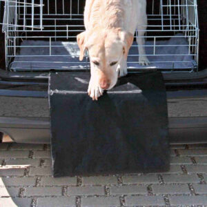 Protector Trasero - Imagen 2