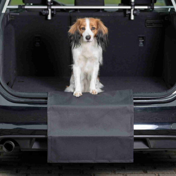 Protector Trasero