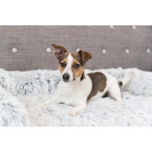 Protector de Muebles Cama para Perros Harvey - Imagen 2
