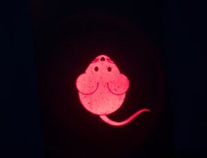 Puntero Láser Luz LED Ratón, USB - Imagen 3
