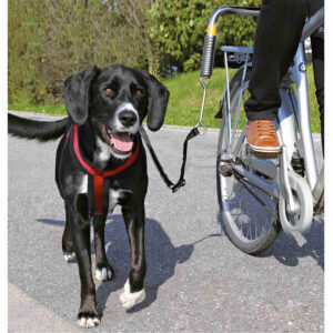 Set para Bicicleta Biker-Set - Imagen 2