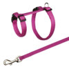 Set Conejos totalmente Ajustable