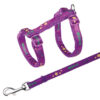 Set Gatos cinta diseno Nylon Colores Surtidos