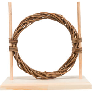 Set de Agility - Imagen 2