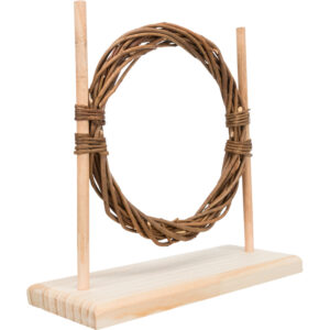 Set de Agility - Imagen 11