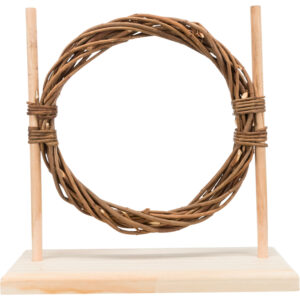 Set de Agility - Imagen 3