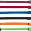 Set de collares para cachorros JUNIOR S M 17 25 cm 10 mm negro Rojo Azul real manzana papaya orquidea