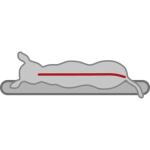 Sofá Vital Bendson - Imagen 10