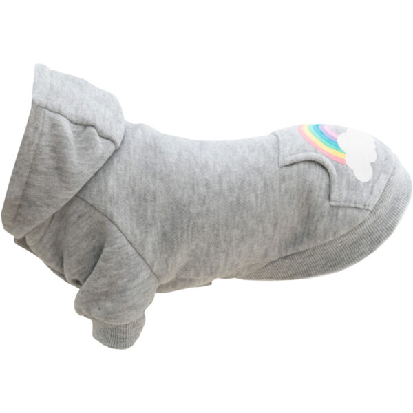 Sudadera Rainbow Falls