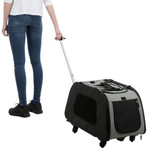 Trolley - Imagen 2