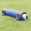 Túnel para Agility 3 Tunel Agility Nylon 40 cm 2 00 m Azul