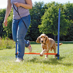 Valla para Agility - Imagen 2
