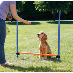 Valla para Agility - Imagen 3